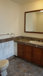 Heritage Apartments (D10), Condominium #168004312